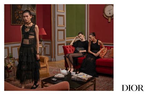 ausgaben werbekampaignen dior